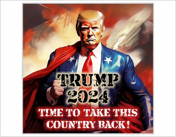 Trump 2024 "Take this country back" Exterior Decal or Magnet