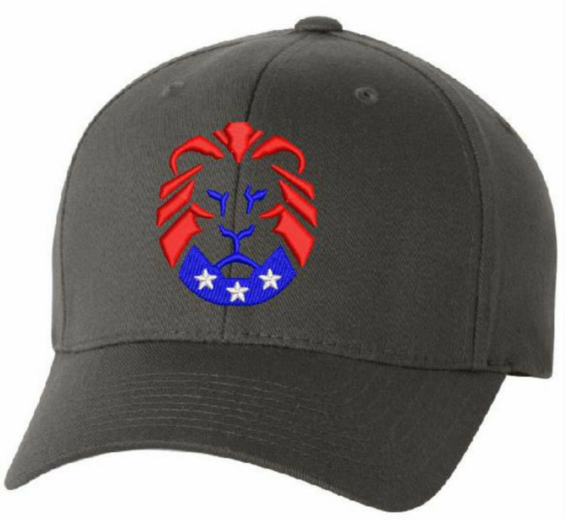 The Patriot Party Lion Flex Fit 6277 Embroidered Hat & WE THE PEOPLE on back