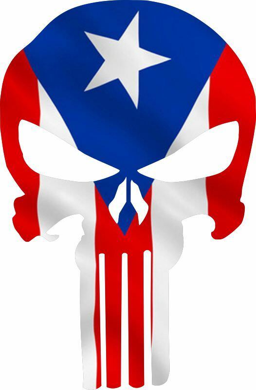 Puerto Rico Flag Punisher Exterior Window Decal - Various sizes - free shipping