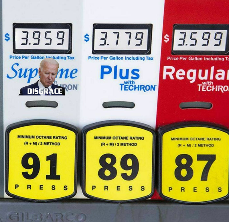 Anti Joe Biden Window Sticker Decal "DISGRACE" Car Sticker Window Decal - Sizes!
